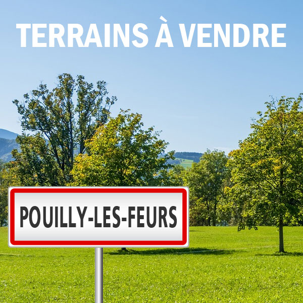 Pouilly-les-Feurs - Le Pécheu